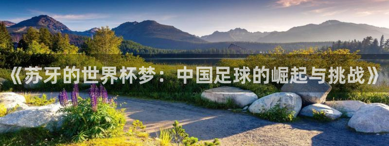 2026世预赛全部赛程：《苏牙的世界杯梦：中国足球的崛起与挑战》