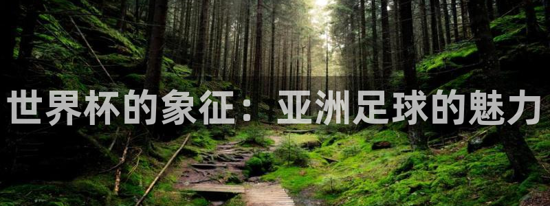 足球世界杯2026：世界杯的象征：亚洲足球的魅力