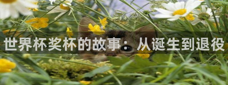 2026男足世界杯赛程：世界杯奖杯的故事：从诞生到退役