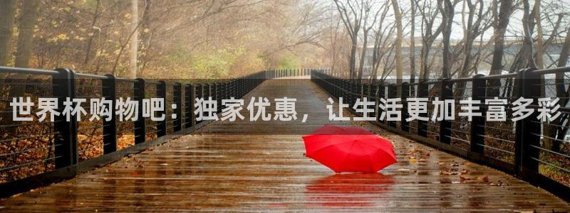 世界杯16强赛程表：世界杯购物吧：独家优惠，让生活更加丰富多彩