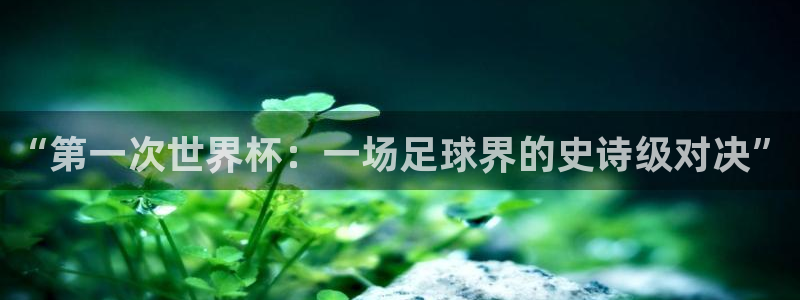 2026世界杯足球赛程时间表：“第一次世界杯：一场足球界的史诗级对决”