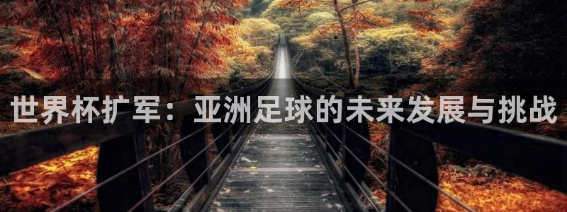 世界杯足球赛2026：世界杯扩军：亚洲足球的未来发展与挑战