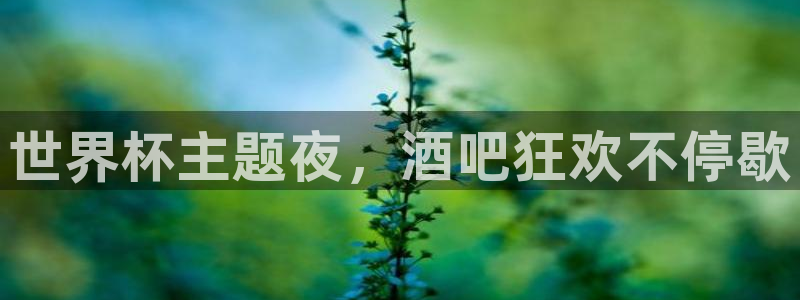 世界杯直播平台：世界杯主题夜，酒吧狂欢不停歇