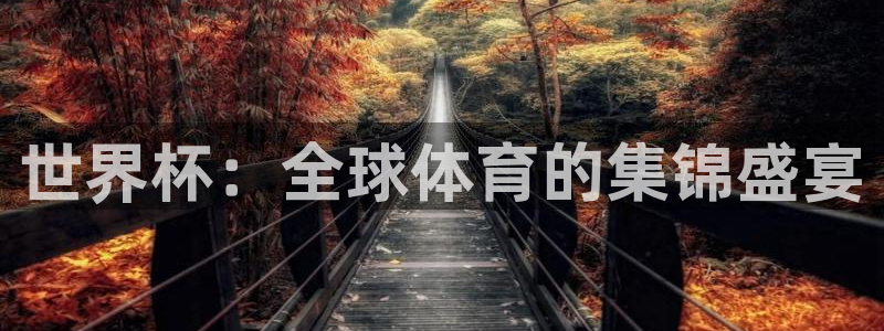 2026足球世界杯：世界杯：全球体育的集锦盛宴