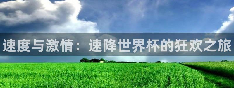 世界杯决赛圈球队：速度与激情：速降世界杯的狂欢之旅
