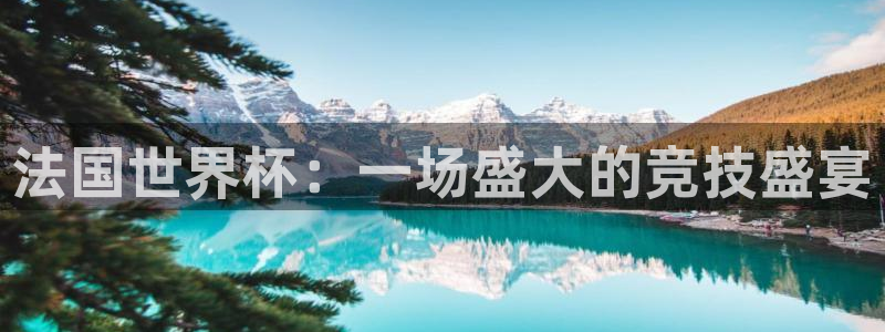世界杯葡萄牙赛程：法国世界杯：一场盛大的竞技盛宴