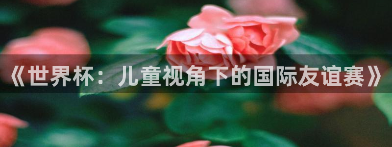 2026男足世界杯赛程：《世界杯：儿童视角下的国际友谊赛》