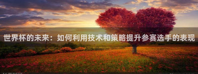 2026世界杯直播免费观看：世界杯的未来：如何利用技术和策略提升参赛选手的表现