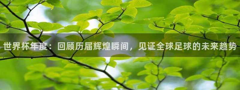 世界杯48支球队赛制：世界杯年度：回顾历届辉煌瞬间，见证全球足球的未来趋势