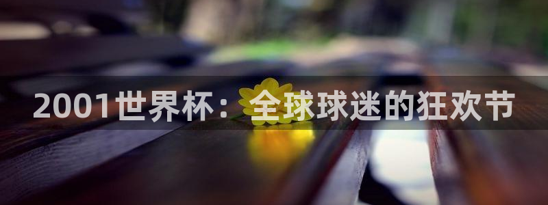 世界杯预选赛欧洲赛区积分榜：2001世界杯：全球球迷的狂欢节