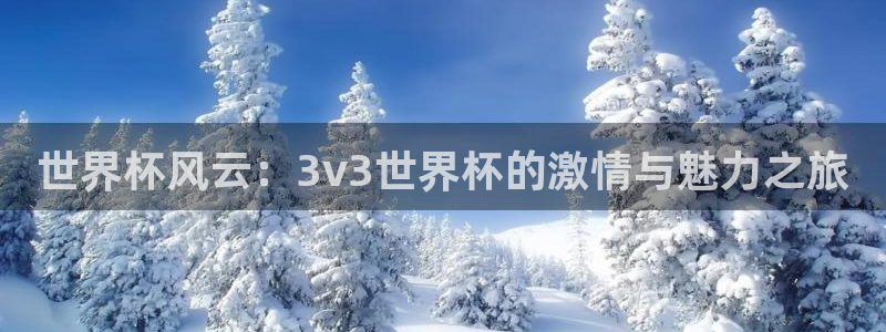 2026世界杯中国队：世界杯风云：3v3世界杯的激情与魅力之旅