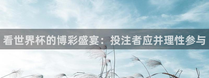 2026世界杯亚洲区预选赛赛程：看世界杯的博彩盛宴：投注者应并理性参与