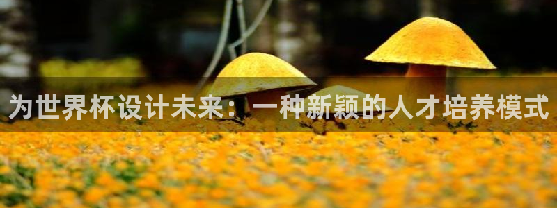 世界杯直播在线观看入口：为世界杯设计未来：一种新颖的人才培养模式