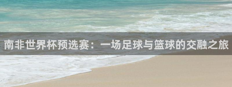 足球世界杯时间：南非世界杯预选赛：一场足球与篮球的交融之旅